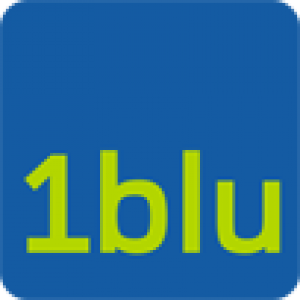 Best Web Hosting Review for 1blu