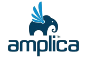Best Web Hosting Review for Amplica SRL