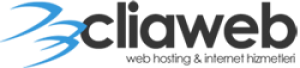 Best Web Hosting Review for CliaWeb
