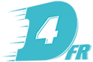 Best Web Hosting Review for D4.fr