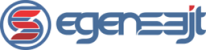 Best Web Hosting Review for EgenSajt