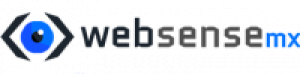 Best Web Hosting Review for Websense MX
