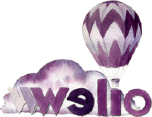 Best Web Hosting Review for Welio