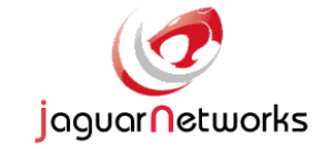 Best Web Hosting Review for Jaguarnetworks