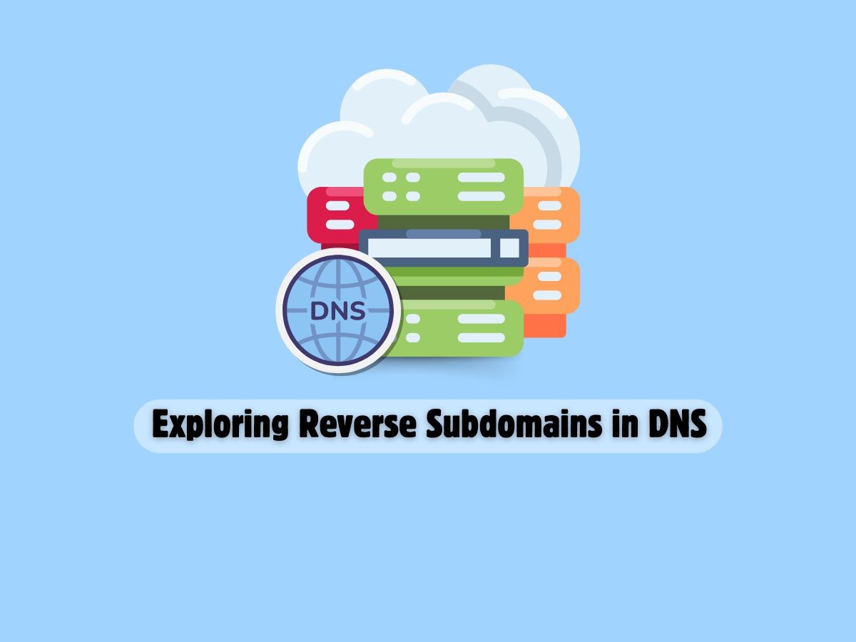 A-Deep-Dive-into-Reverse-Subdomains-and-Their-Use-in-the-Domain-Name-System-(DNS)