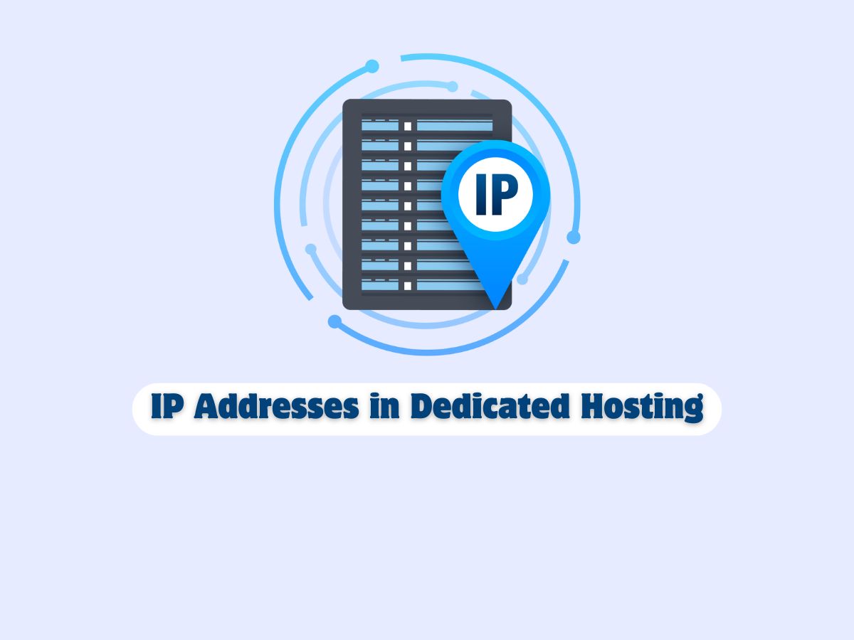 The-Role-of-IP-Addresses-in-Dedicated-Server-Hosting