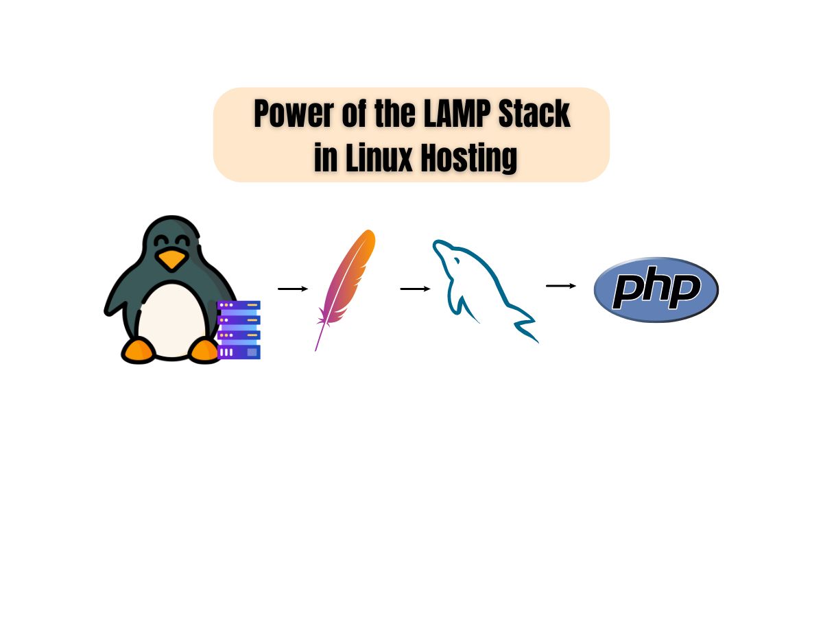 Unveiling-the-Power-of-the-LAMP-Stack-in-Linux-Hosting